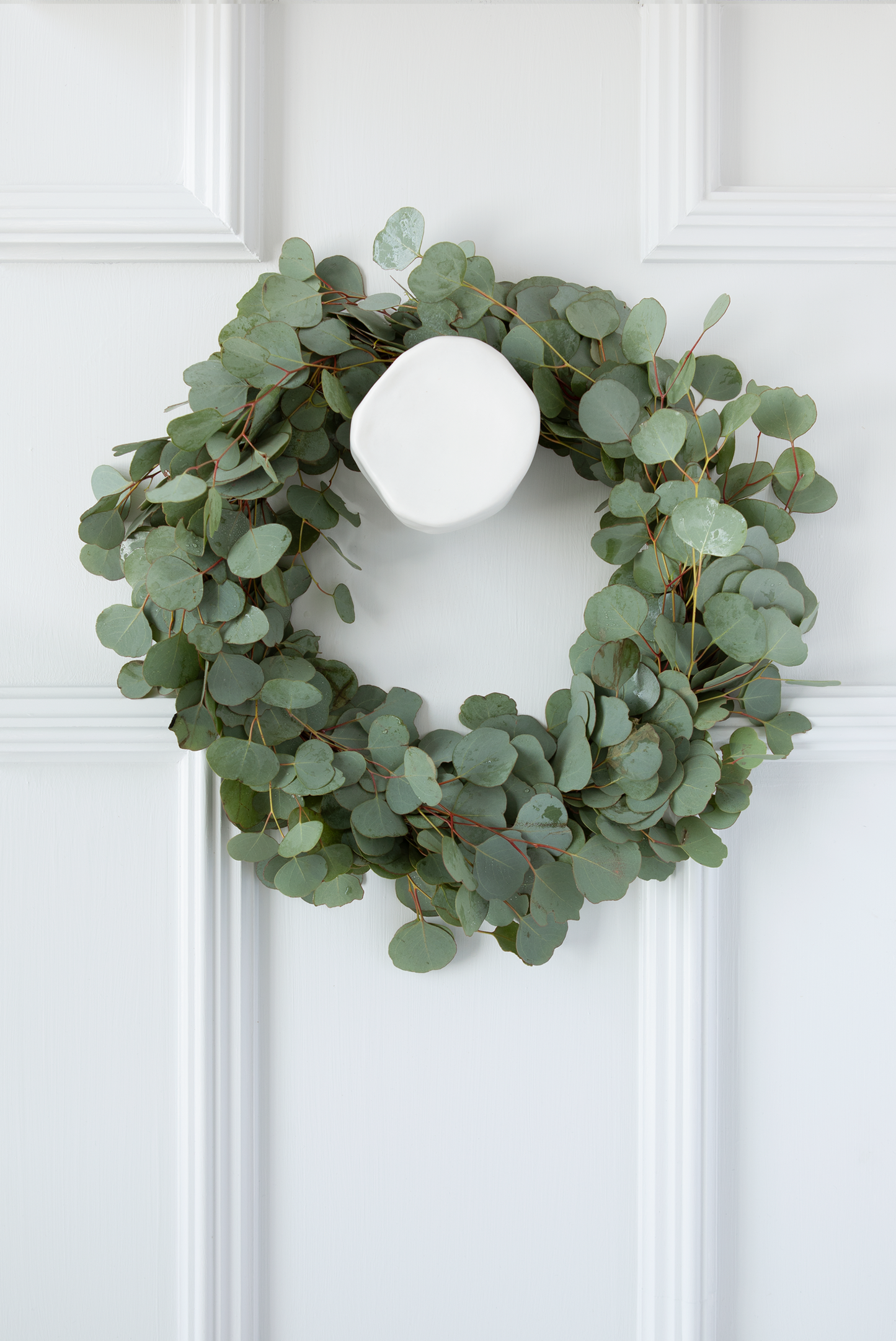 Malabar entrance door pull